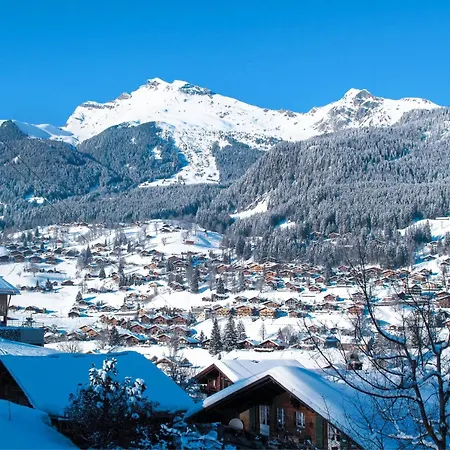 公寓 Adlerhorst Og By Interhome 格林德瓦