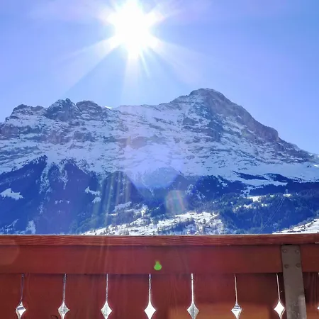 Adlerhorst Og By Interhome 公寓