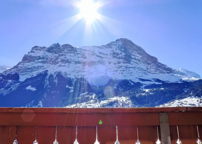 Adlerhorst Og By Interhome Apartment