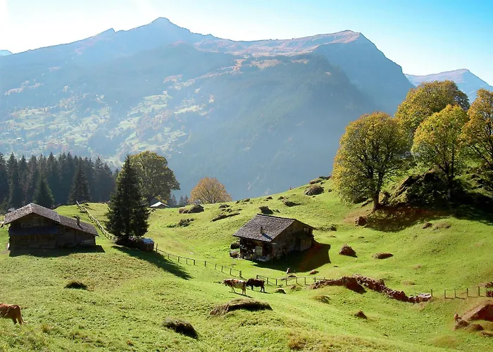 Adlerhorst Og By Interhome アパート